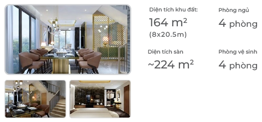 NHÀ PHỐ VƯỜN TH3